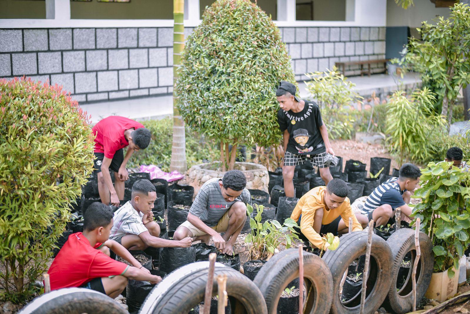 Bercocok tanam di halaman panti